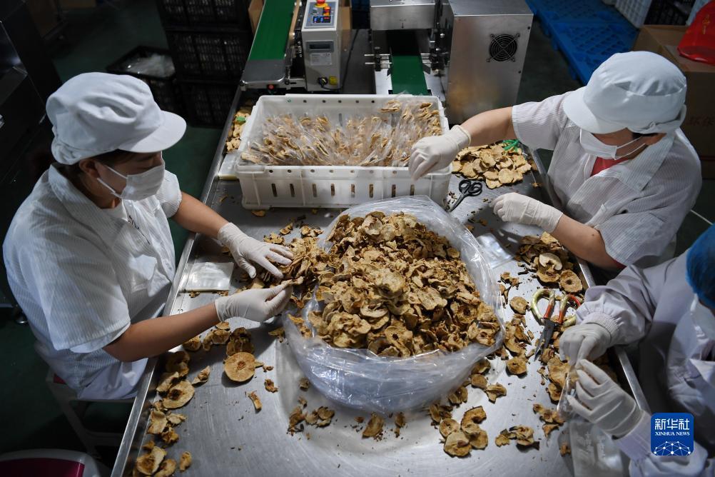 捕鱼源码分享网